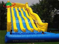 Fantastic Giant inflatable slide with pool